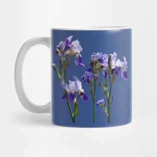 Irises - Group of Purple Irises Mug